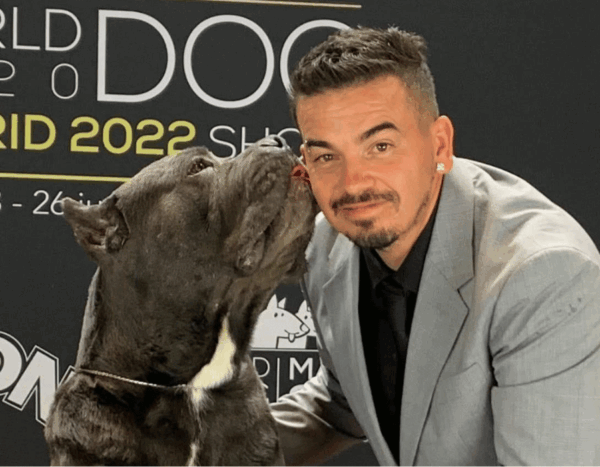 alimentacion cane corso