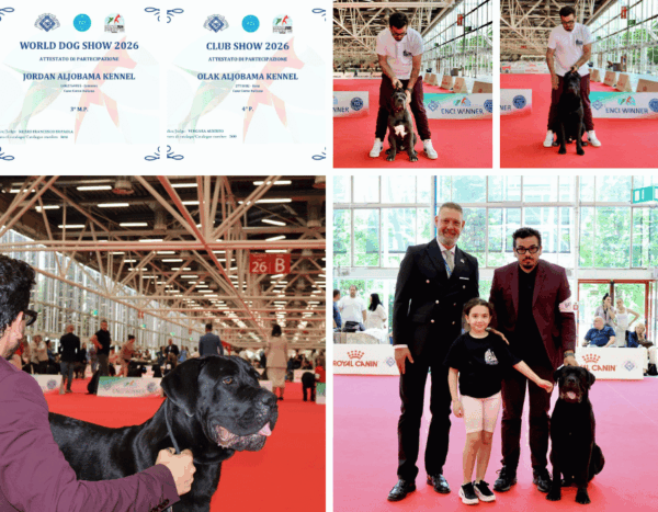 world dog show 2026 bolonia