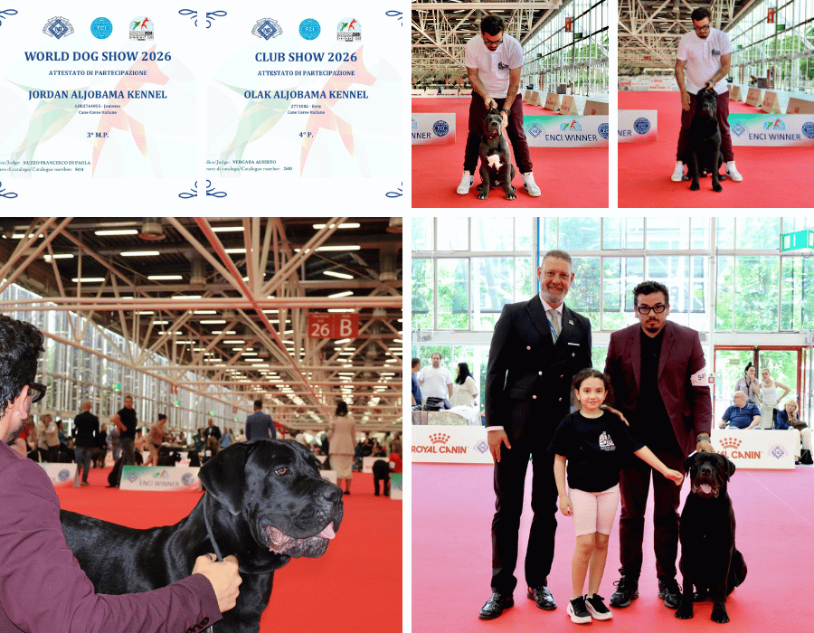 world dog show 2026 bolonia