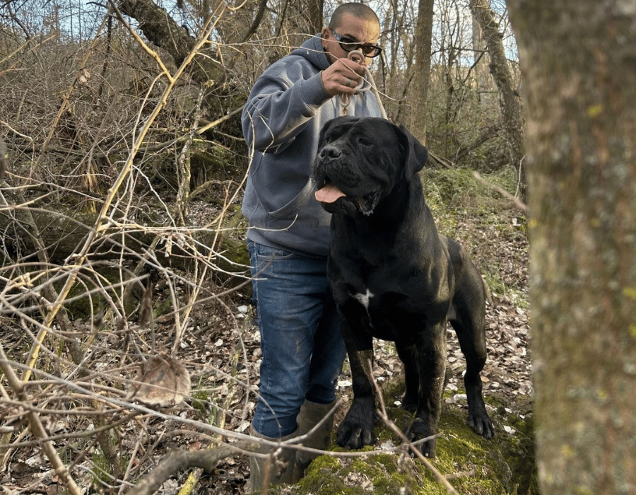 PUEDE VIVIR UN CANE CORSO EN UN PISO