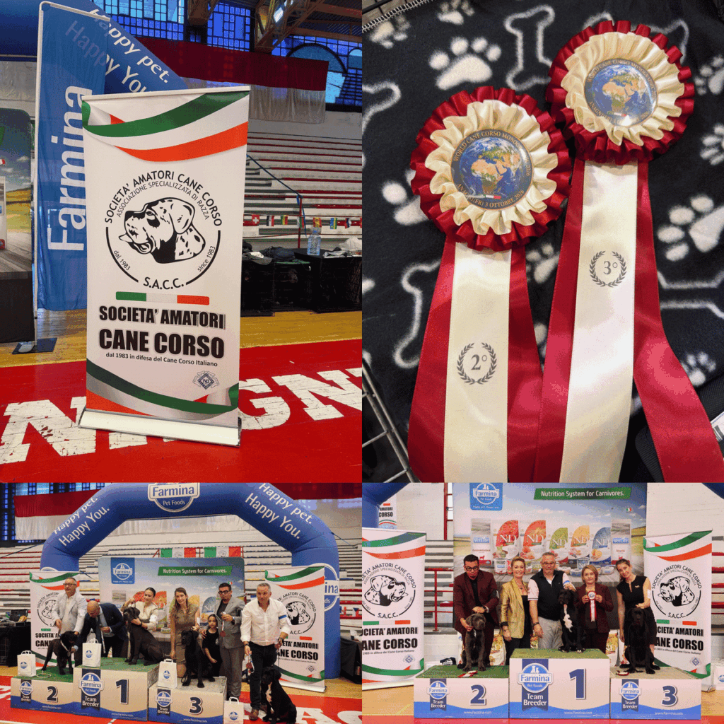 ALJOBAMA KENNEL EN ANAGNI